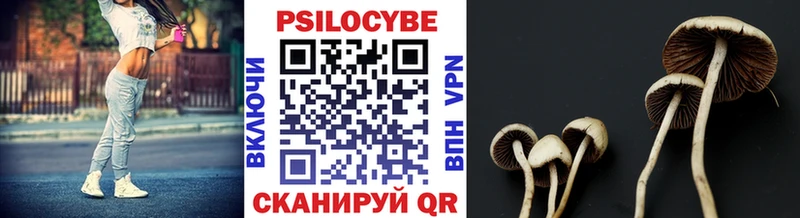 цена   Качканар  Галлюциногенные грибы мухоморы 