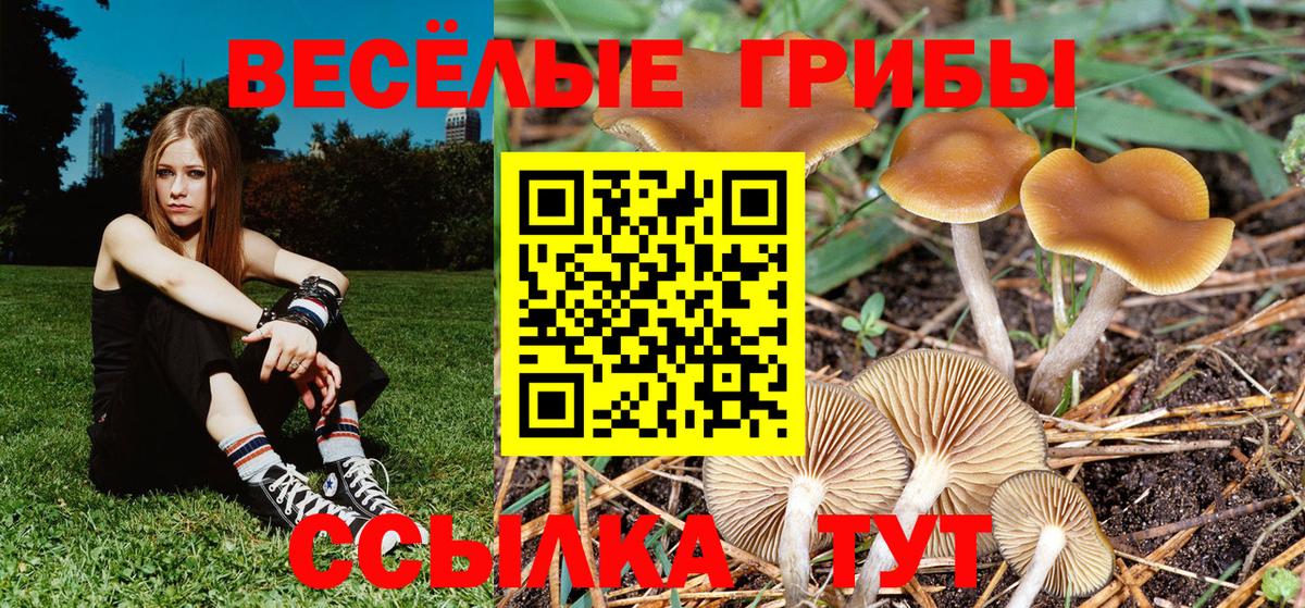 Качканар  купить наркотики цена  Галлюциногенные грибы прущие грибы  Вход с VPN  Галлюциногенные грибы мухоморы 